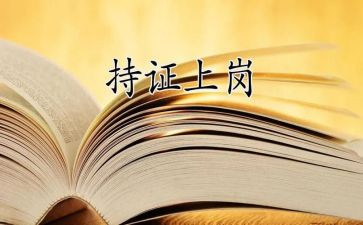 上岗个人总结5篇
