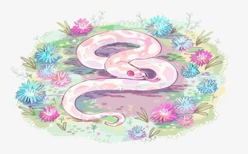 我发现了蛇的秘密作文最新6篇
