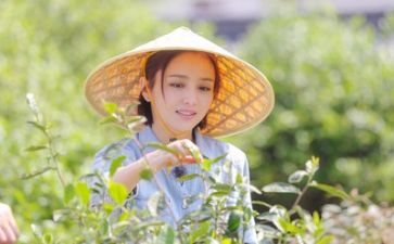 生活部大总结报告8篇