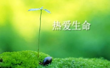 生命的林子读后感8篇