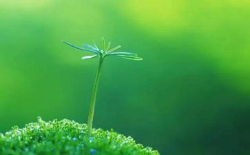 生命的价值的读后感8篇