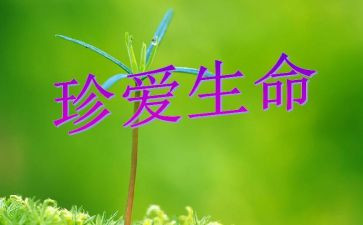 生命读后感300字7篇
