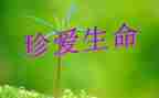 生命泉读后感优质8篇