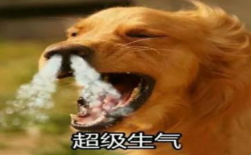 妈妈别生气了作文参考6篇