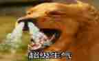 妈妈别生气了作文参考6篇