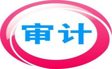 审计工作的工作总结5篇
