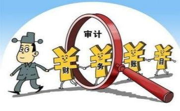 审计2024年工作总结最新8篇