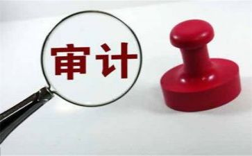 内部审计室工作计划8篇