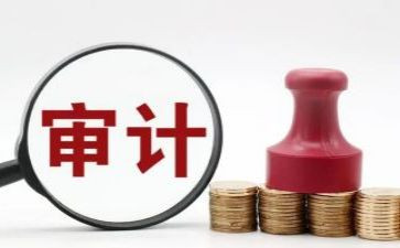 审计组工作总结通用6篇