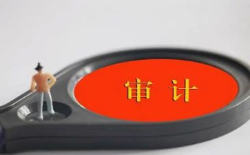 学审计的心得体会模板8篇