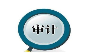 审计站述职报告参考8篇