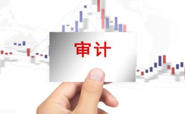 审计个人总结工作总结精选5篇
