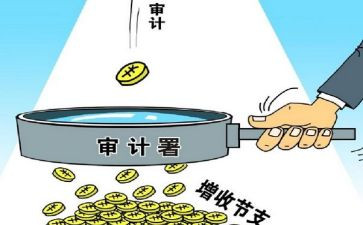 审计半年工作计划8篇