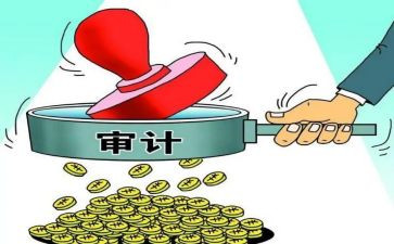 学审计的心得体会最新8篇