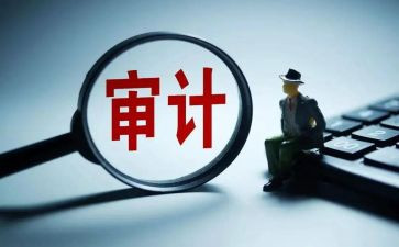 审计组工作总结最新5篇