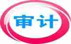 审计工作的工作总结5篇