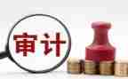 审计组工作总结通用6篇
