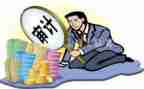 审计股的工作计划推荐6篇