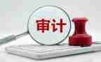 审计股的工作计划6篇