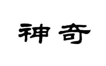 神奇的种子作文600字8篇