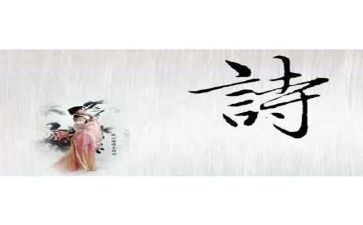 诗集读后感7篇