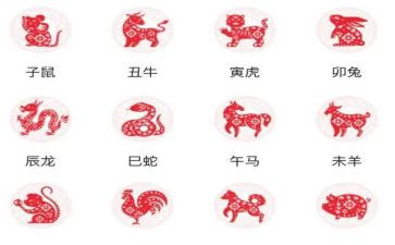 十二生肖的故事读后感7篇