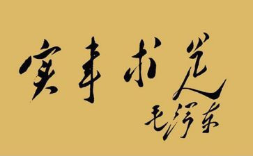 办实事心得体会8篇