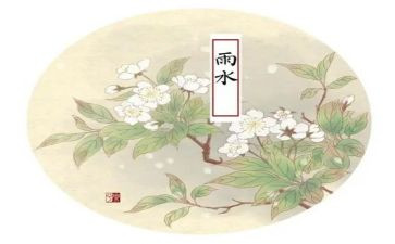 观看十四运心得体会5篇