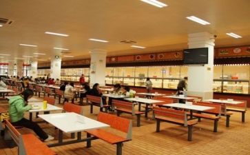 我食堂工作总结精选8篇