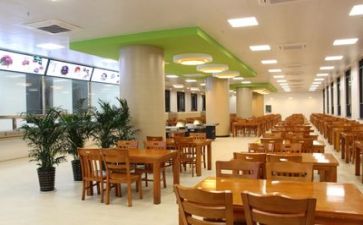 2024年食堂工作总结及计划8篇