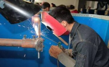实训工作总结7篇