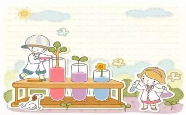 做实验的体会心得最新8篇