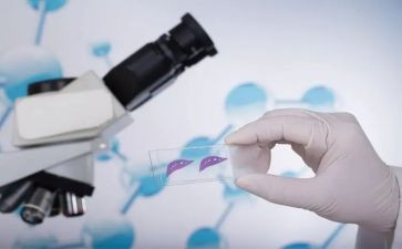 实验作文的作文优质7篇