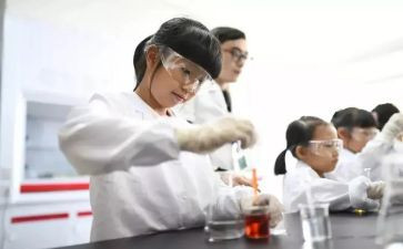 2024年实验室年终总结通用6篇