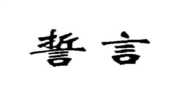 一生誓言心得体会7篇