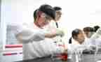 2024年实验室年终总结通用6篇
