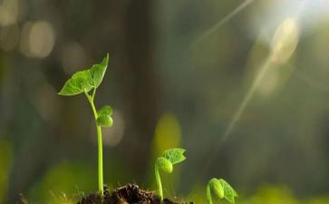 守护的读后感8篇