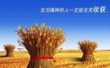 毕业实习收获和心得体会8篇