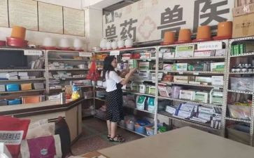 兽药房个人述职报告6篇
