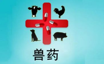 兽药店工作总结优秀6篇