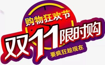 双11特色活动方案6篇
