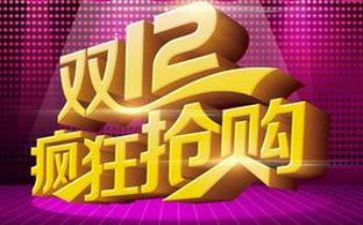 双12培训计划模板7篇