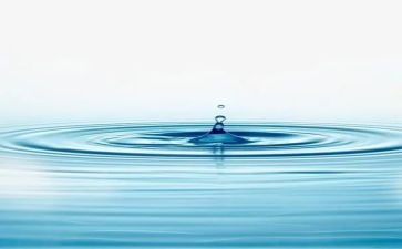 《跳水》教案最新5篇