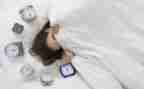 猫的睡觉作文7篇
