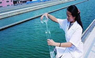2024年水质化验年终总结6篇