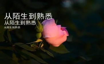 我熟悉的人400字作文5篇