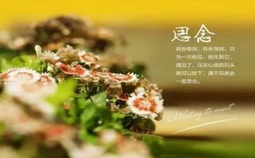 我思念你作文模板6篇