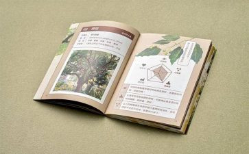 讲四史心得体会8篇