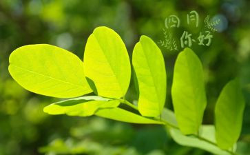学生会四月工作总结推荐6篇