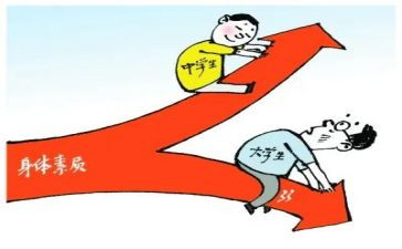 综合素质评价工作总结5篇